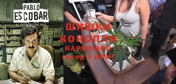 кокс Алзамай
