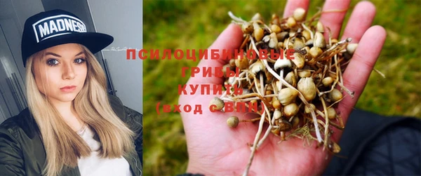 гидропоника Алексеевка