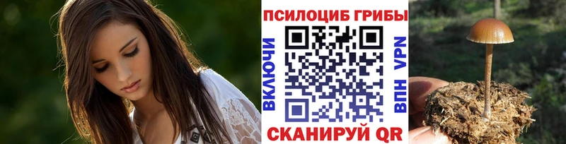 Псилоцибиновые грибы Psilocybe  MEGA вход  Алушта 