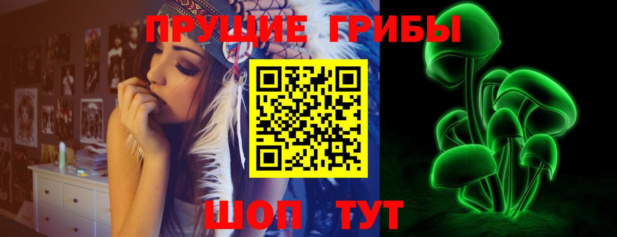 Псилоцибиновые грибы ЛСД Алушта